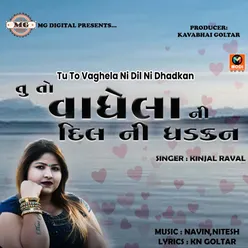 Tu To Vaghela Ni Dil Ni Dhadkan